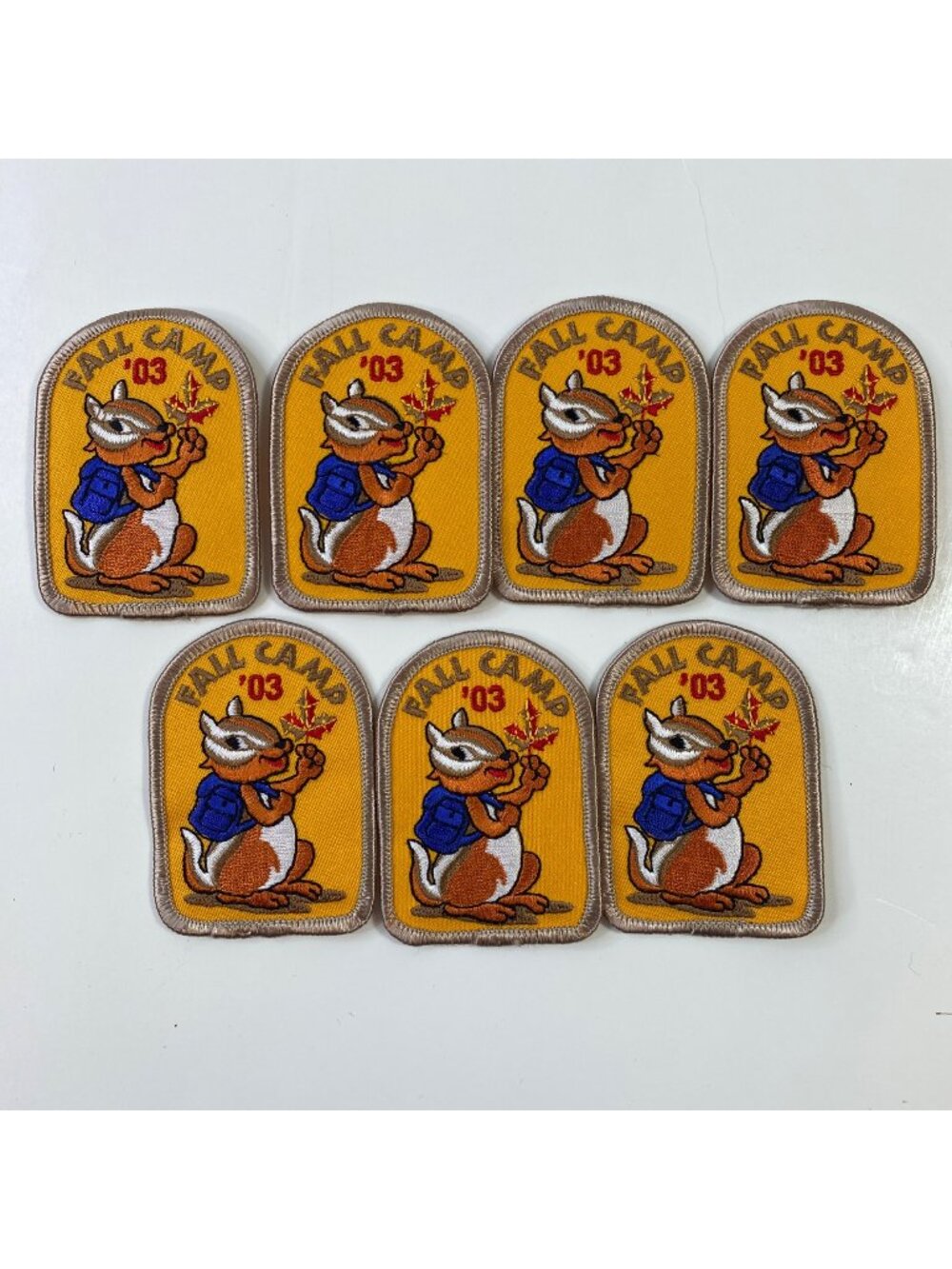 Girl Scouts Fall Camp 03  Chipmunk Embroidered Patch Badges Camping Lot 7